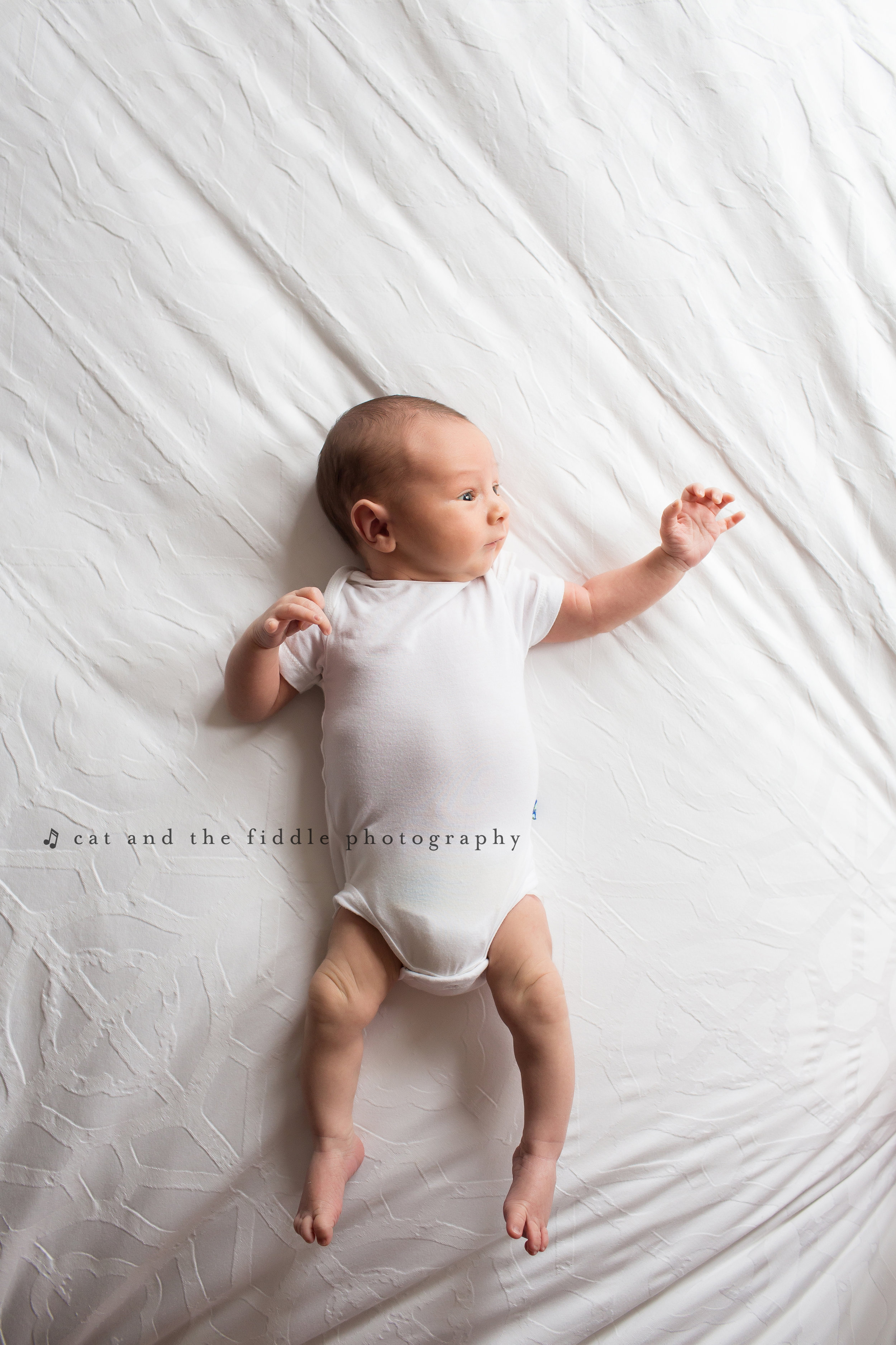 Washington DC Newborn Photographer 18.jpg