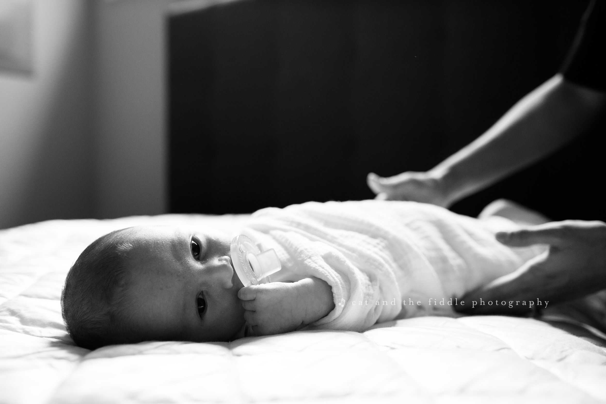 Washington DC Newborn Photographer 21.jpg