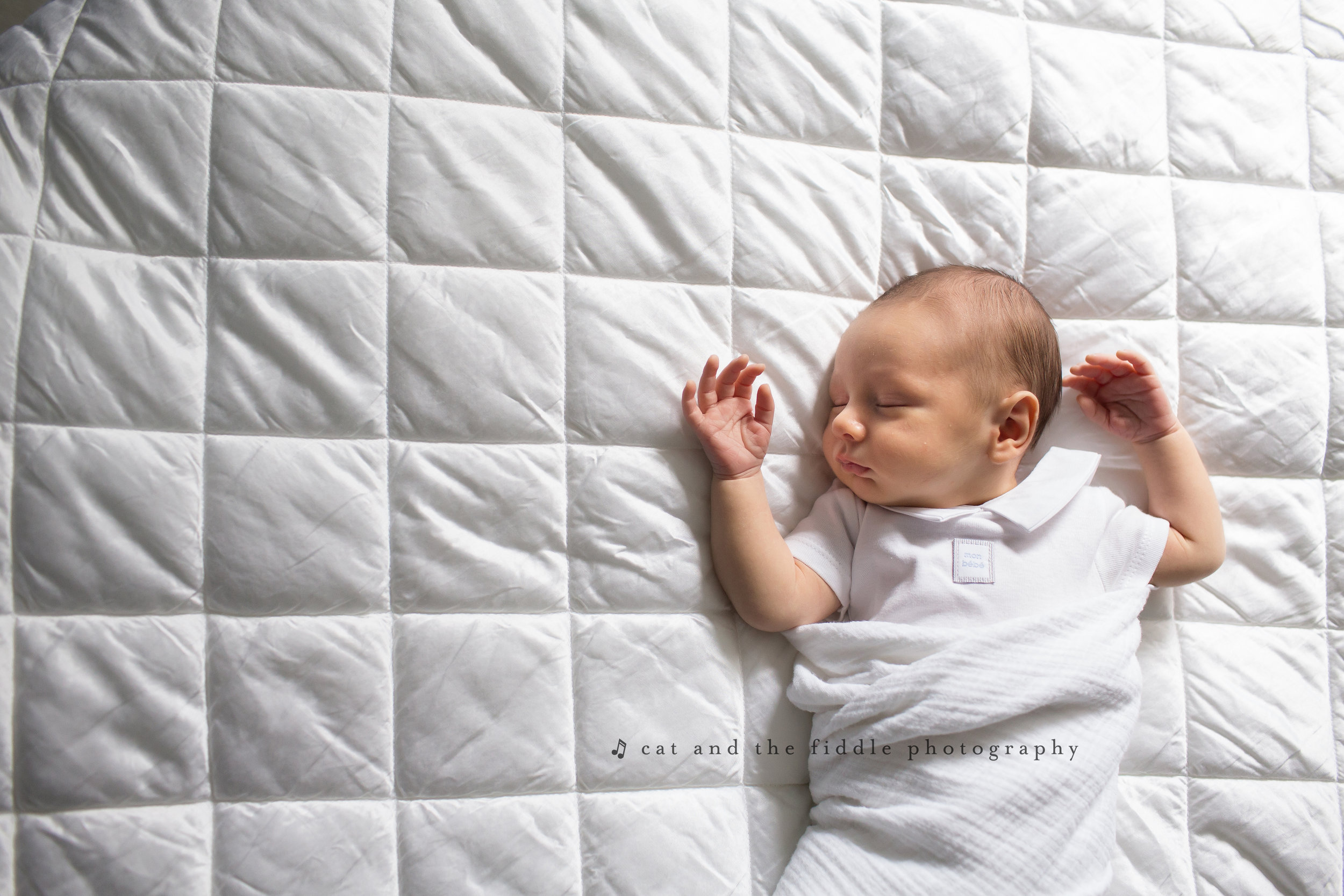 Washington DC Newborn Photographer 24.jpg