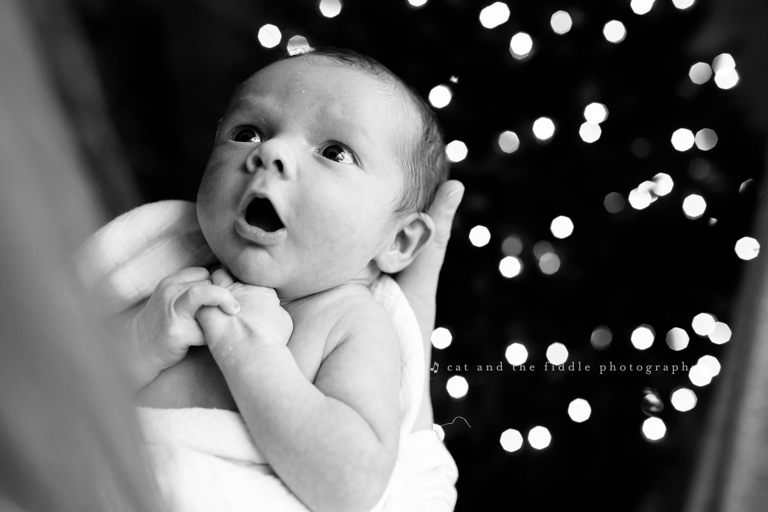 Easton MD Newborn Photographer 2.jpg