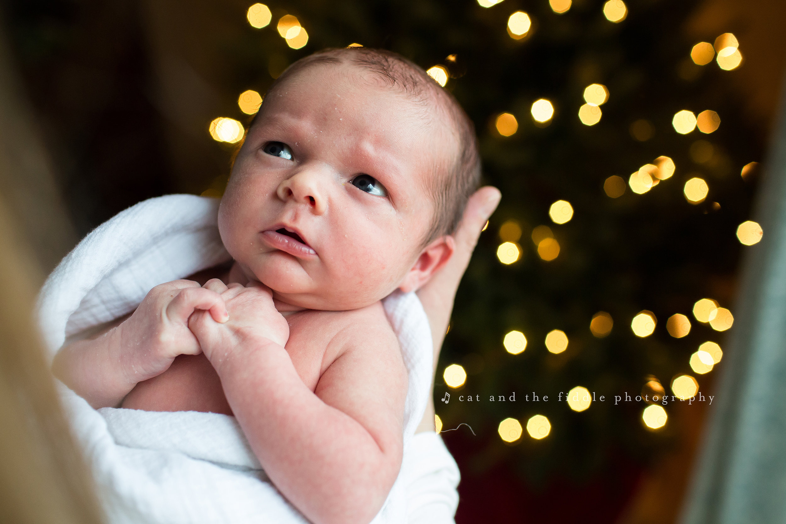 Easton MD Newborn Photographer 3.jpg