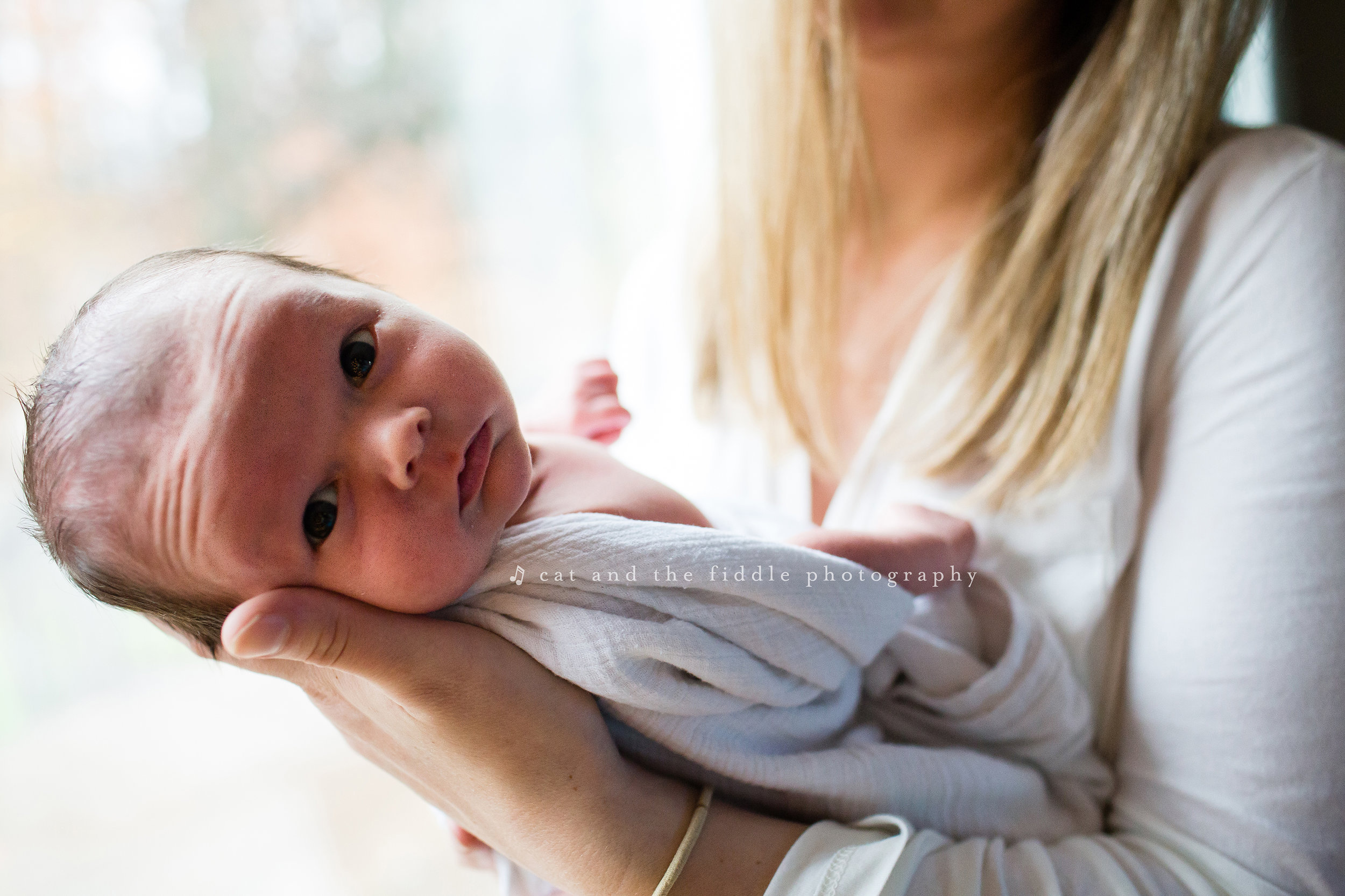 Easton MD Newborn Photographer 4.jpg