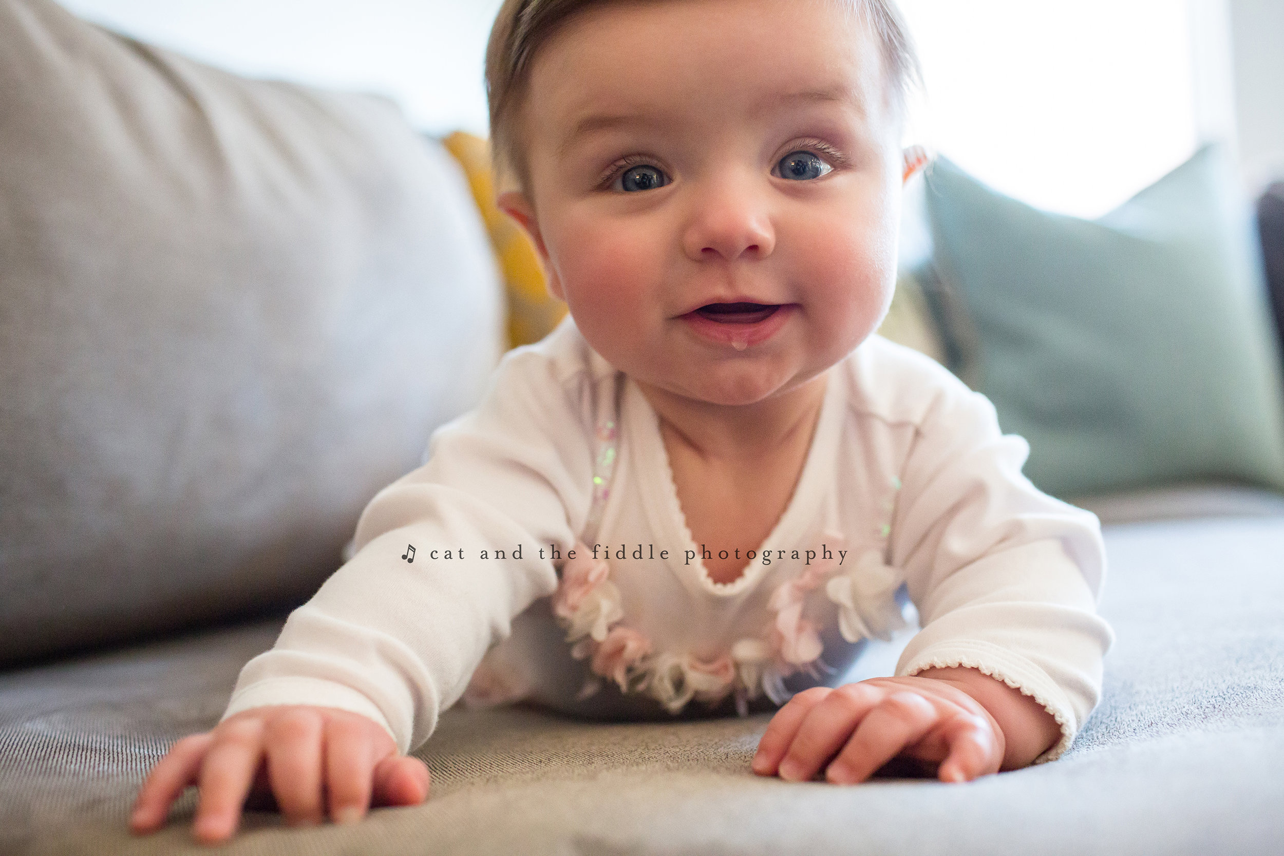 Washington DC Newborn Photographer 6.jpg