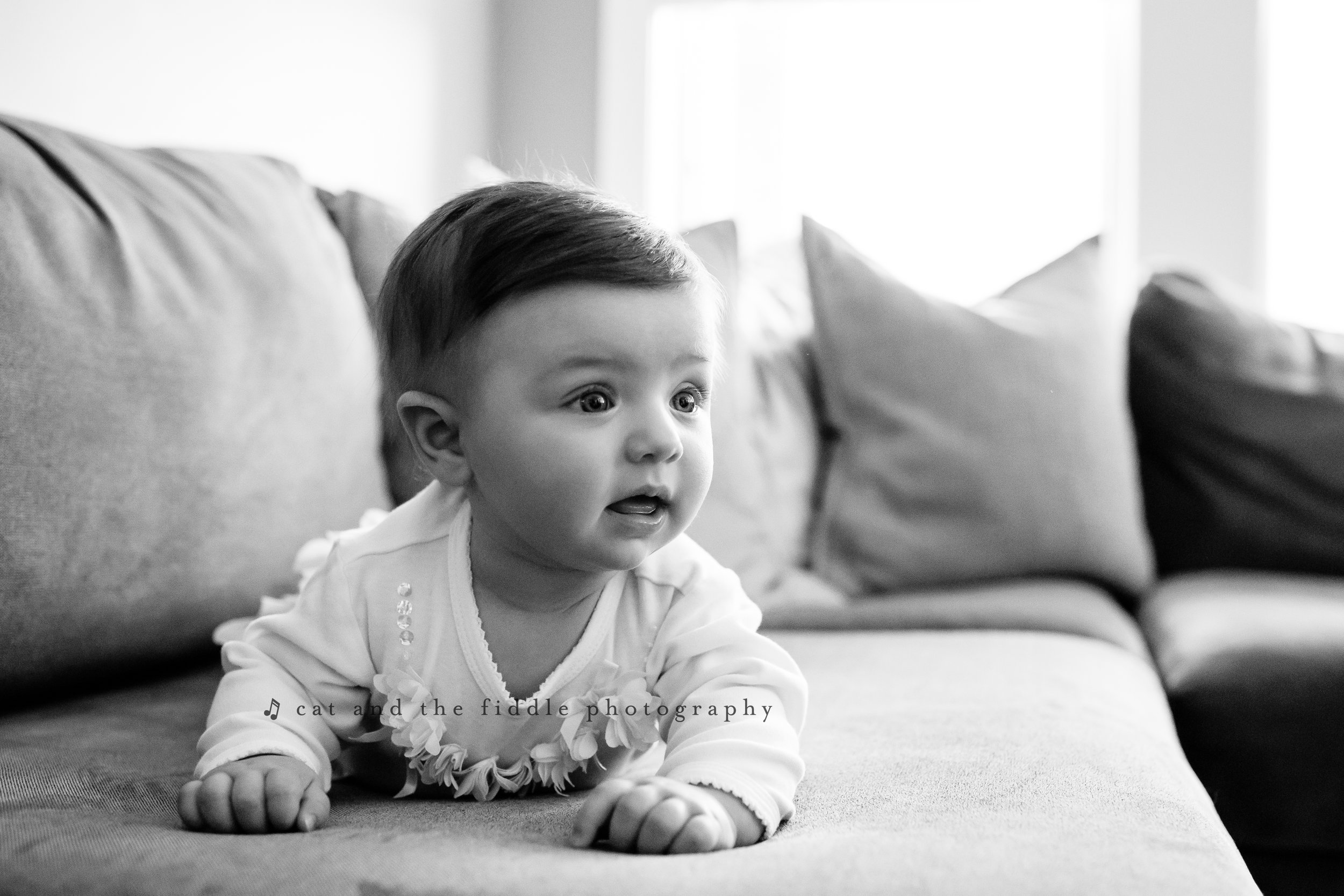 Washington DC Newborn Photographer 5.jpg