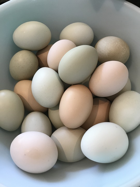 easter eggs 2.jpg