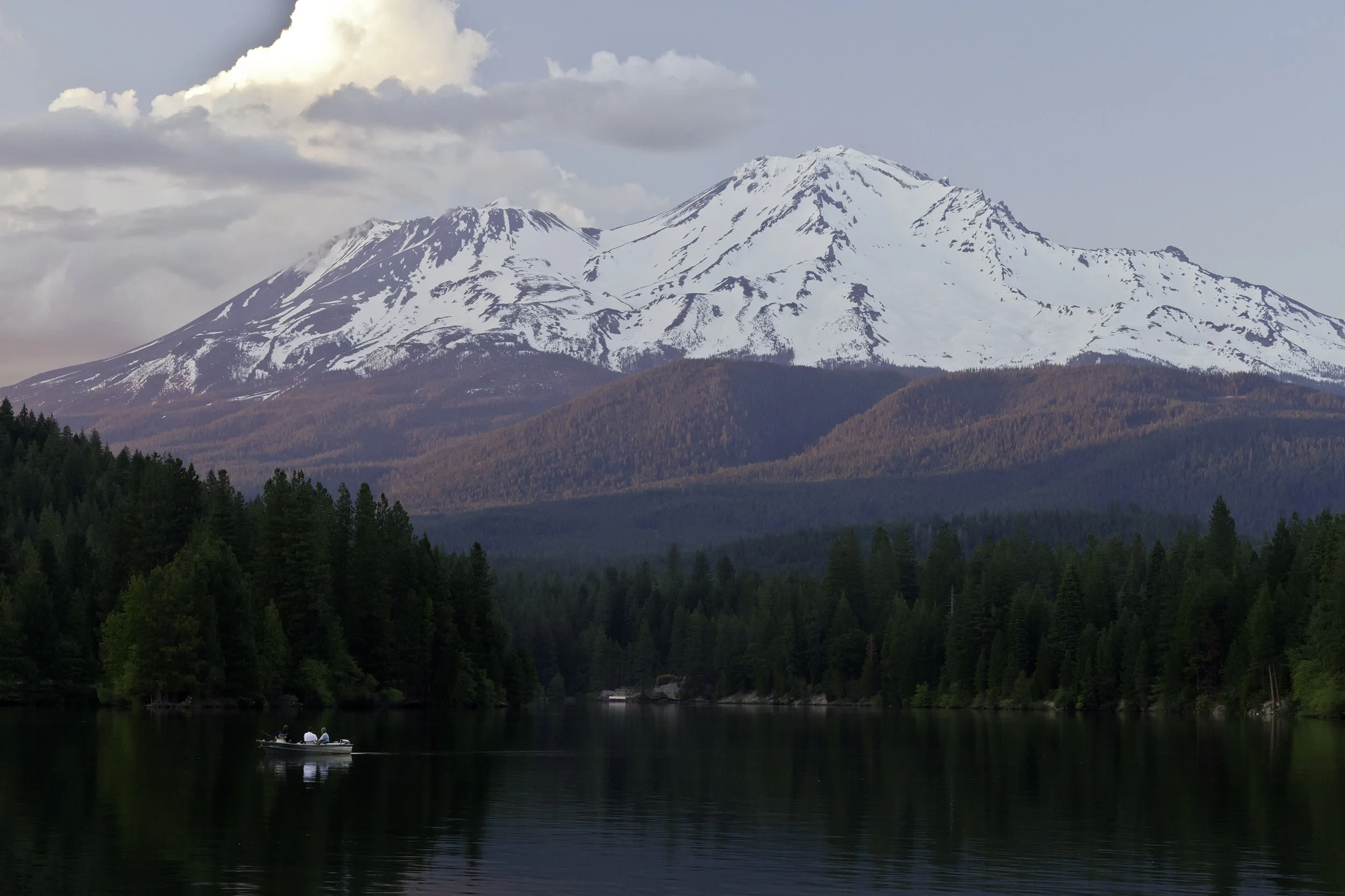 iStock-185069864.jpg
