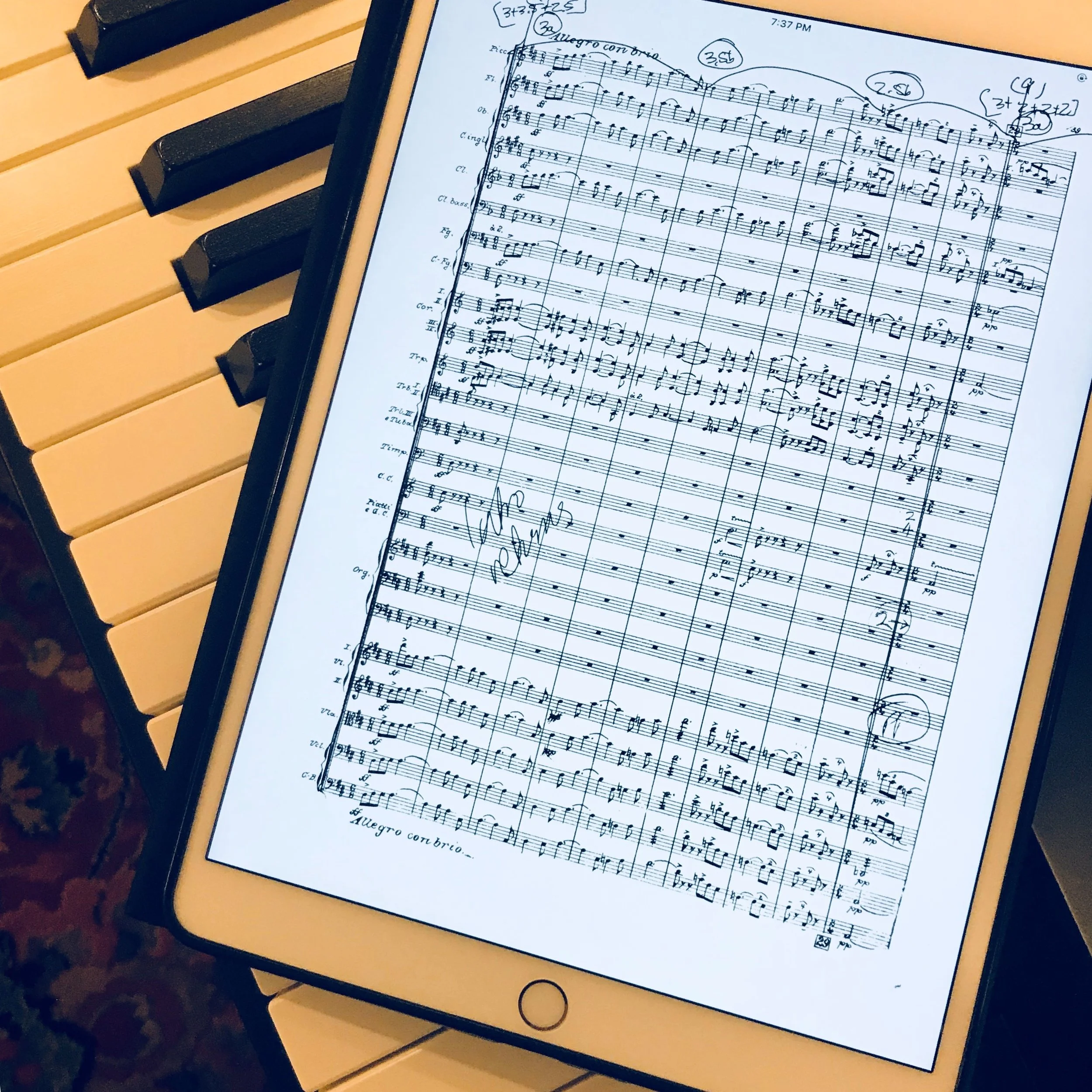 Photo of the pdf of the scan of the score of the overture of the opera...phew!