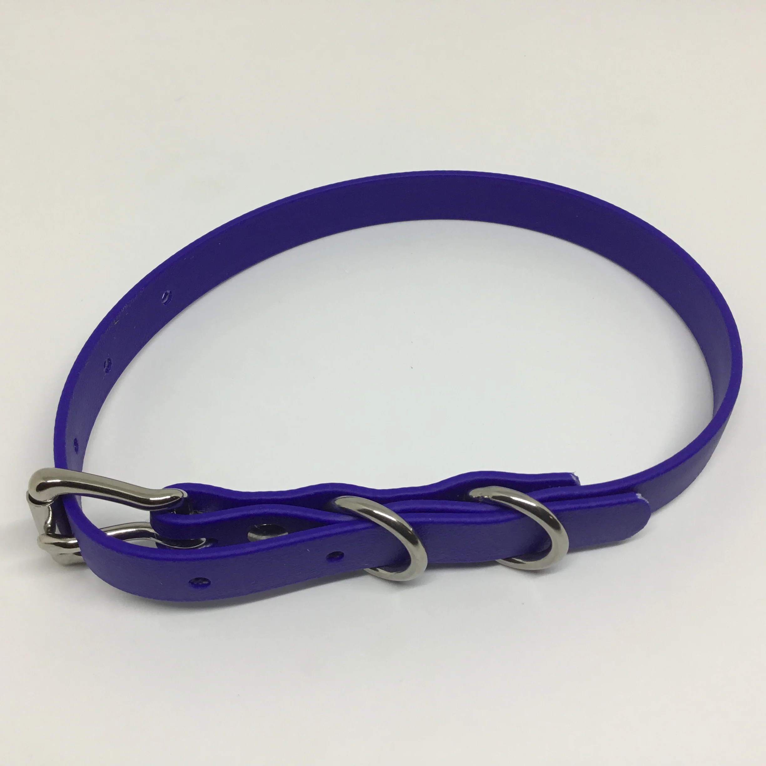 Beta BioThane®️ Adjustable Flat Buckle Dog Collar with Stainless Steel Hardware in Violet