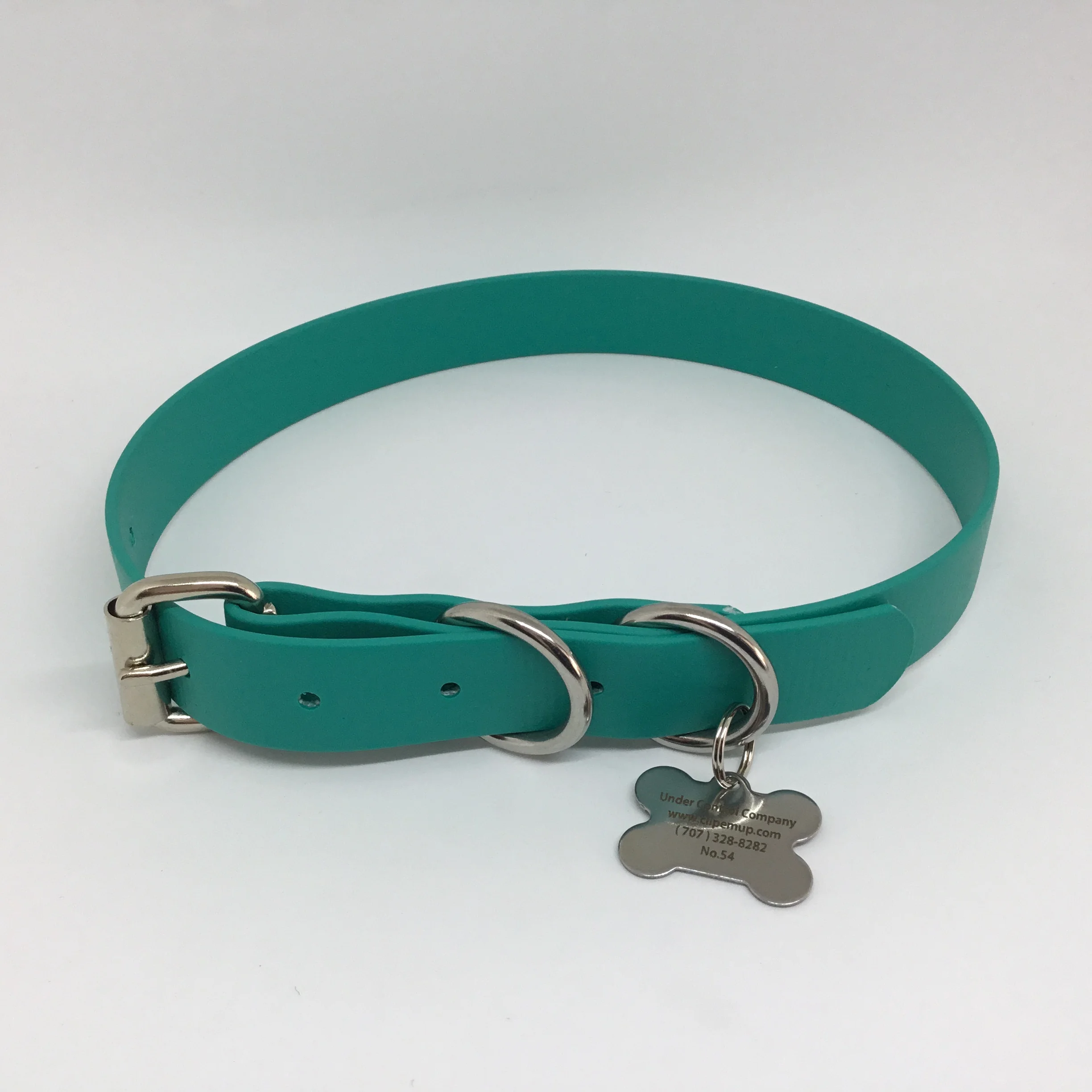 Beta BioThane®️ Adjustable Flat Buckle Dog Collar with Stainless Steel Hardware in Teal