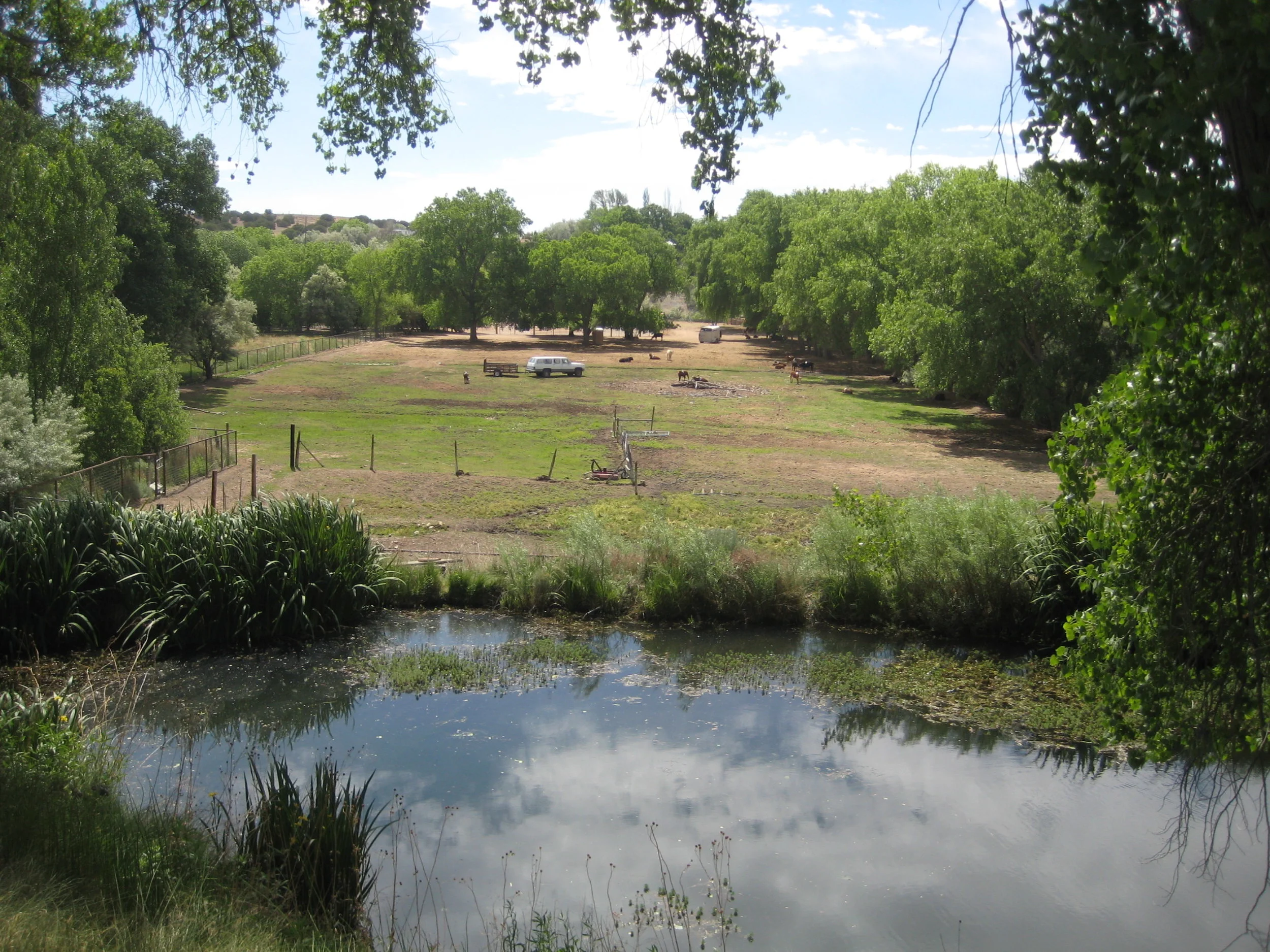 the ranch