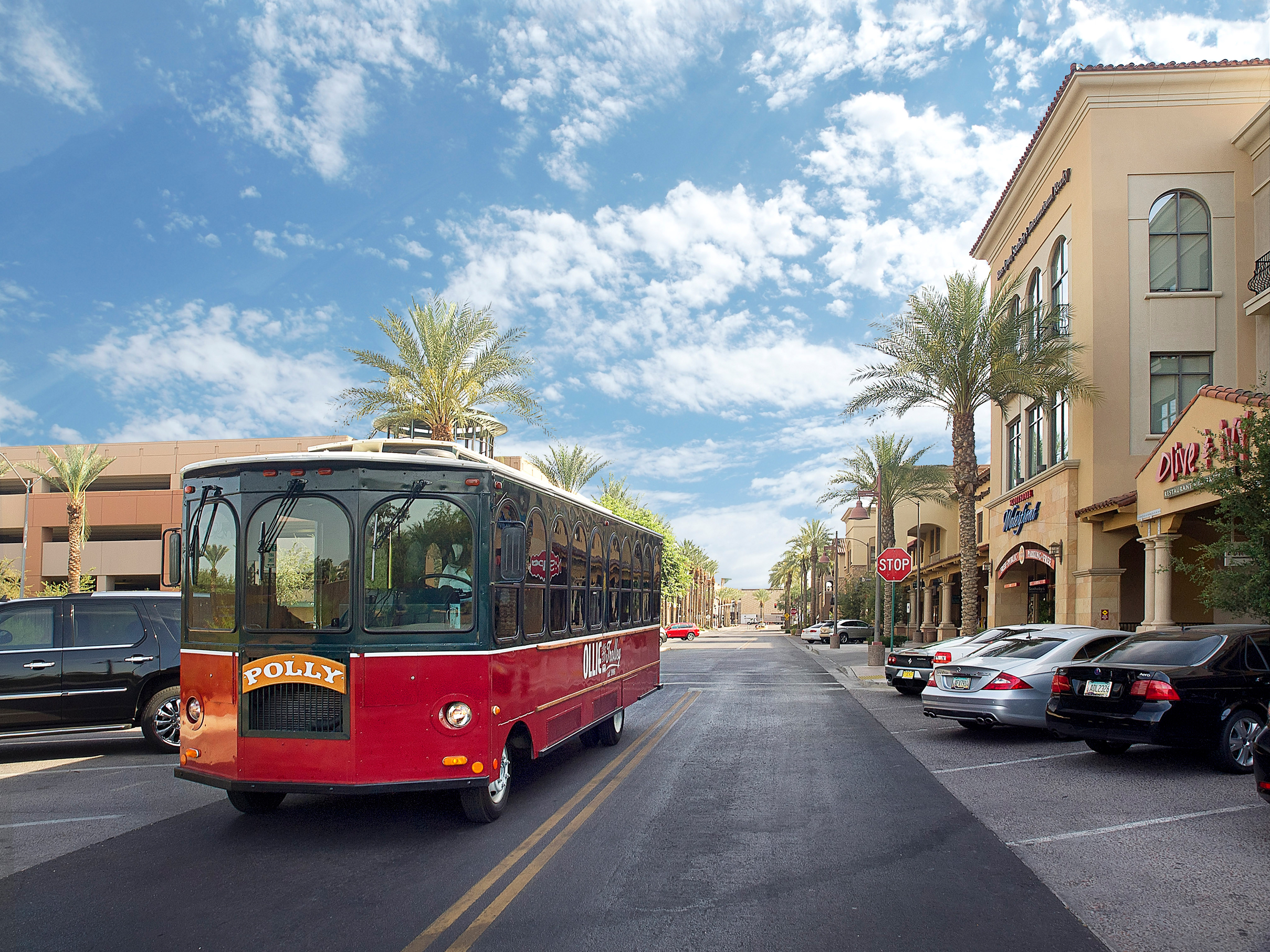 Trolley-Polly-3d7c73b55056b3a_3d7c79f1-5056-b3a8-49d3ef8899f0ffc0.jpg