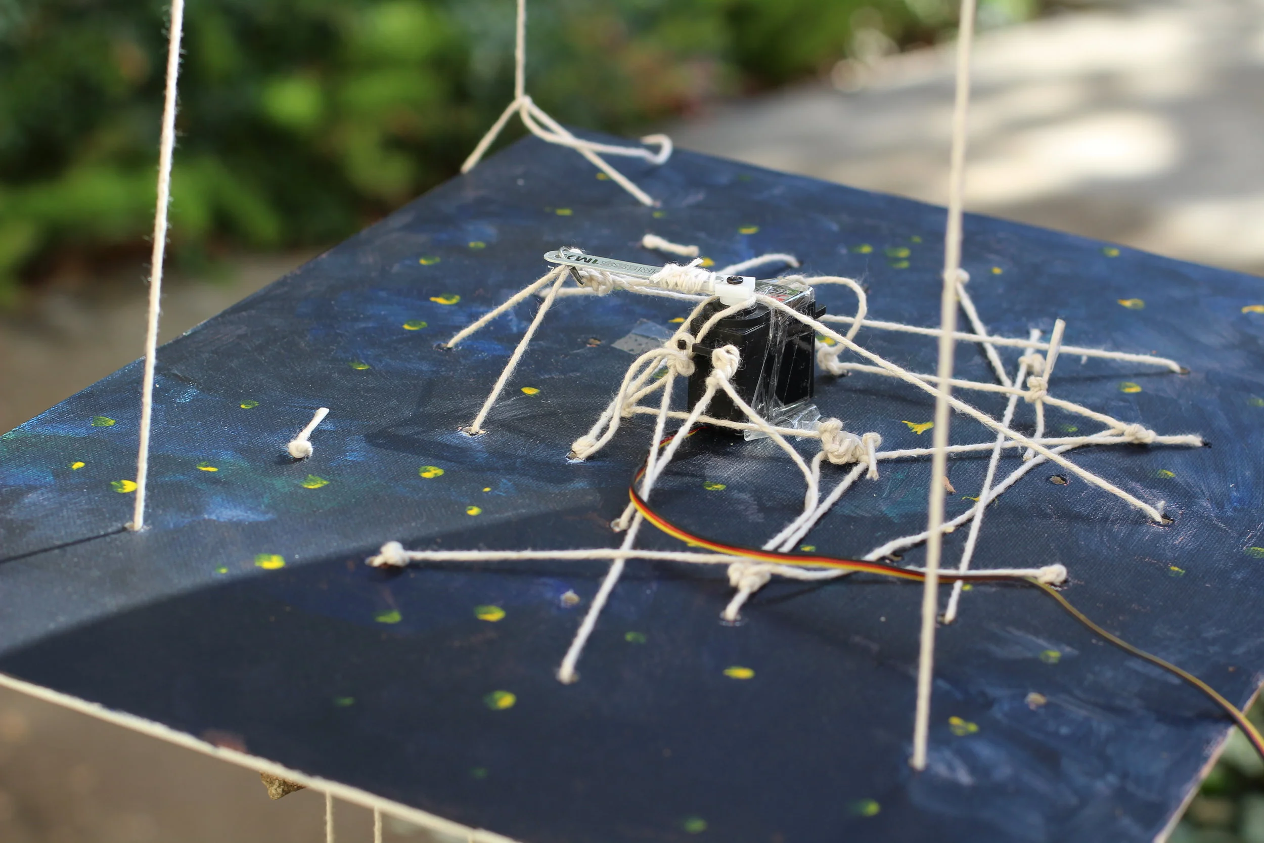 Detail: starry canvas and servo motor