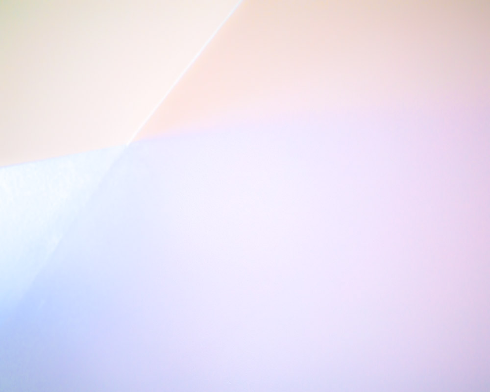 MichelleMishina_WhiteonWhite-.jpg