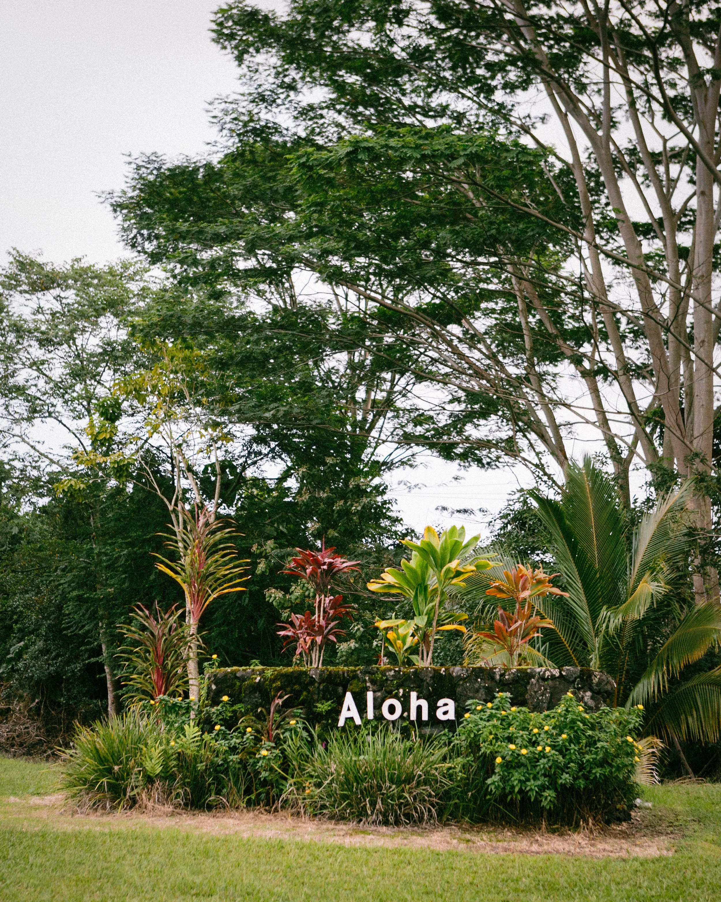 20141231_DaleScottKona_3112-Edit.jpg