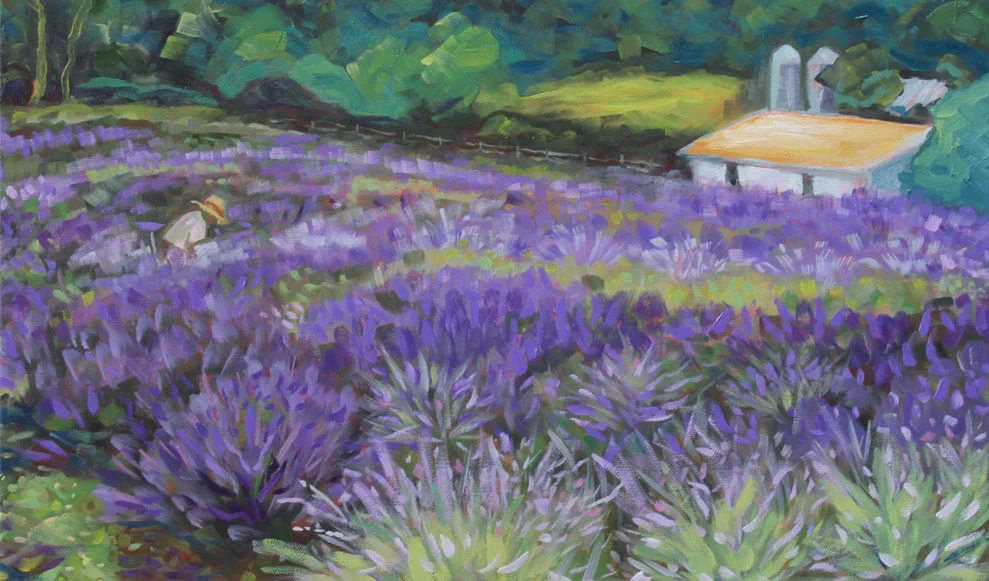 Rufo's Lavender © Laurie Rubinetti