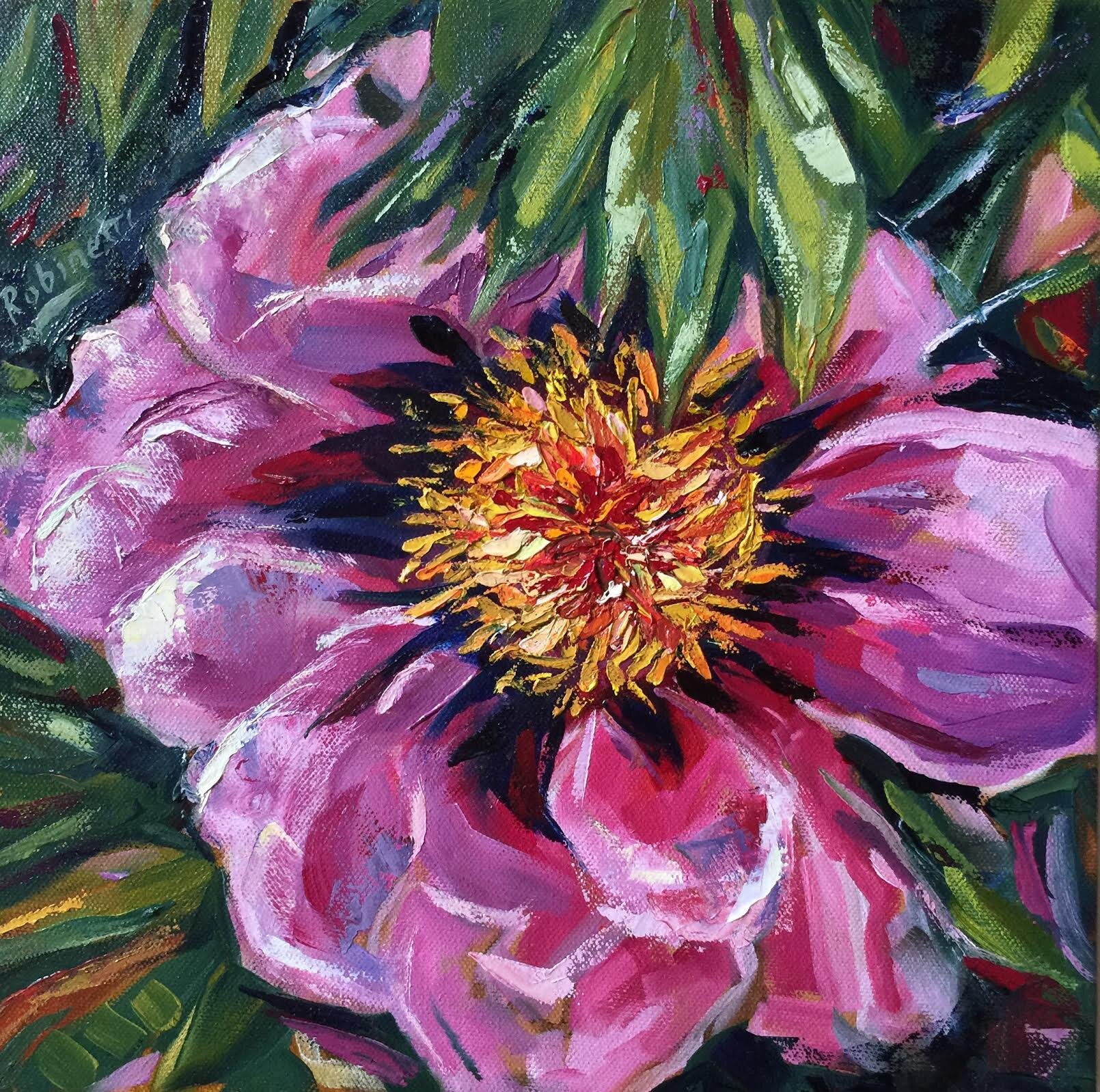 Magenta-tree-peony.jpg