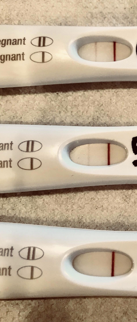 I M Pregnant Oh And I M A Surrogate Part 3 Pregnancy Itur Ad Astra Birth Services