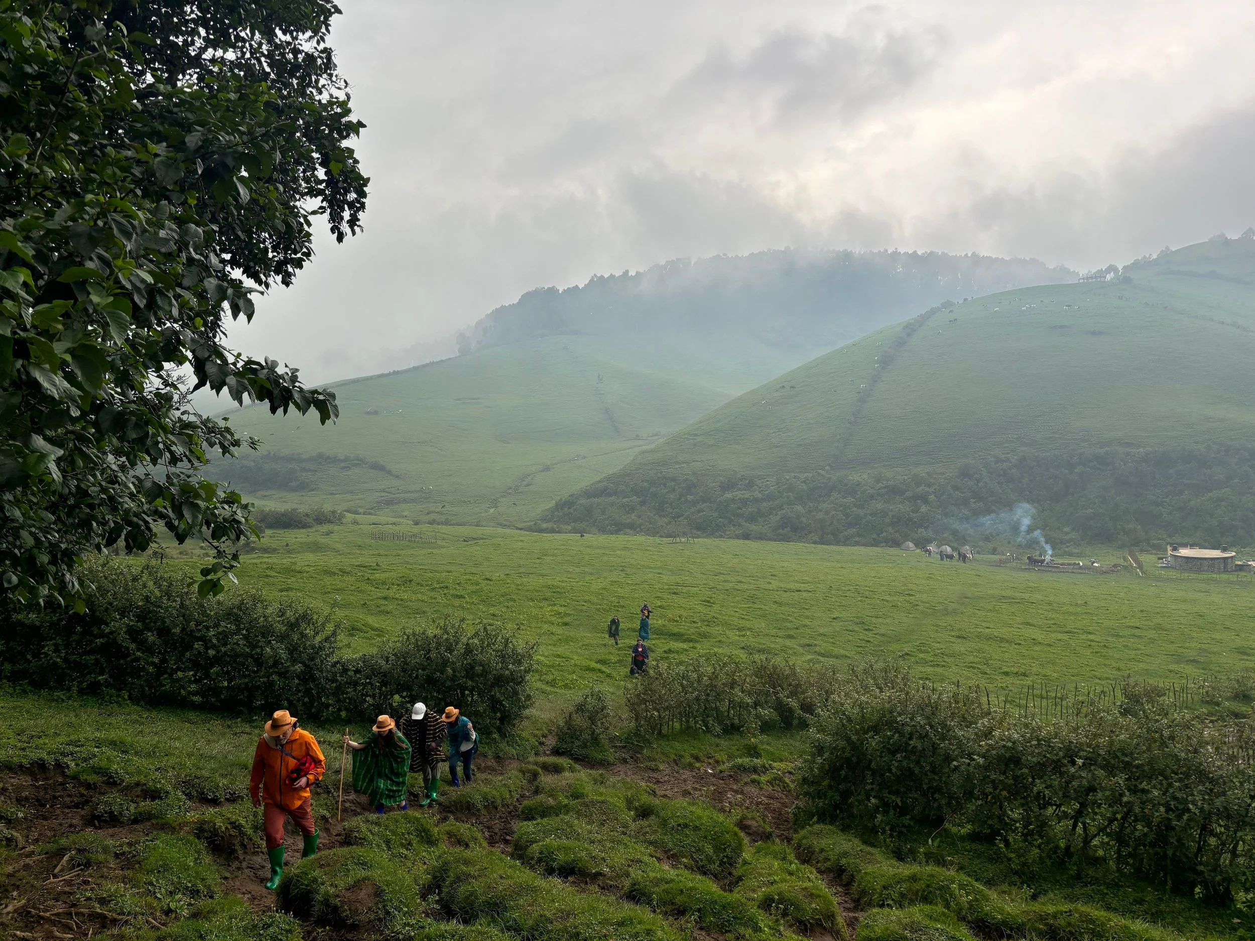 IMG_7667.jpeg