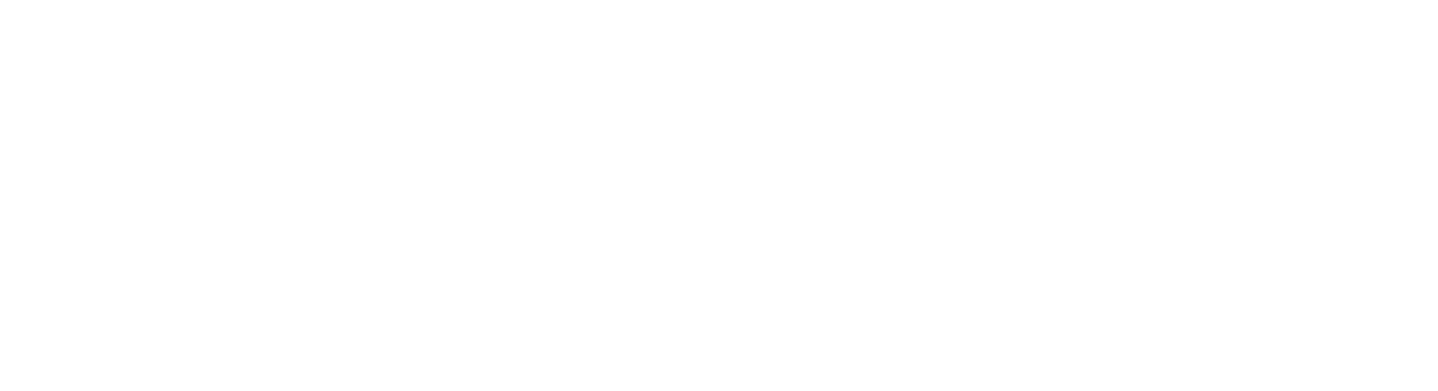 National-Fund-Logo-White.png