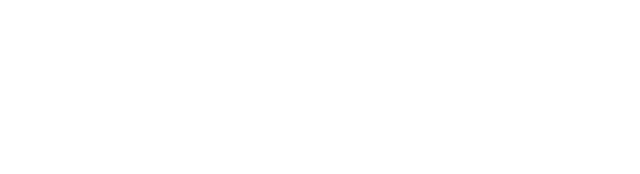 National-Fund-Logo-White.png