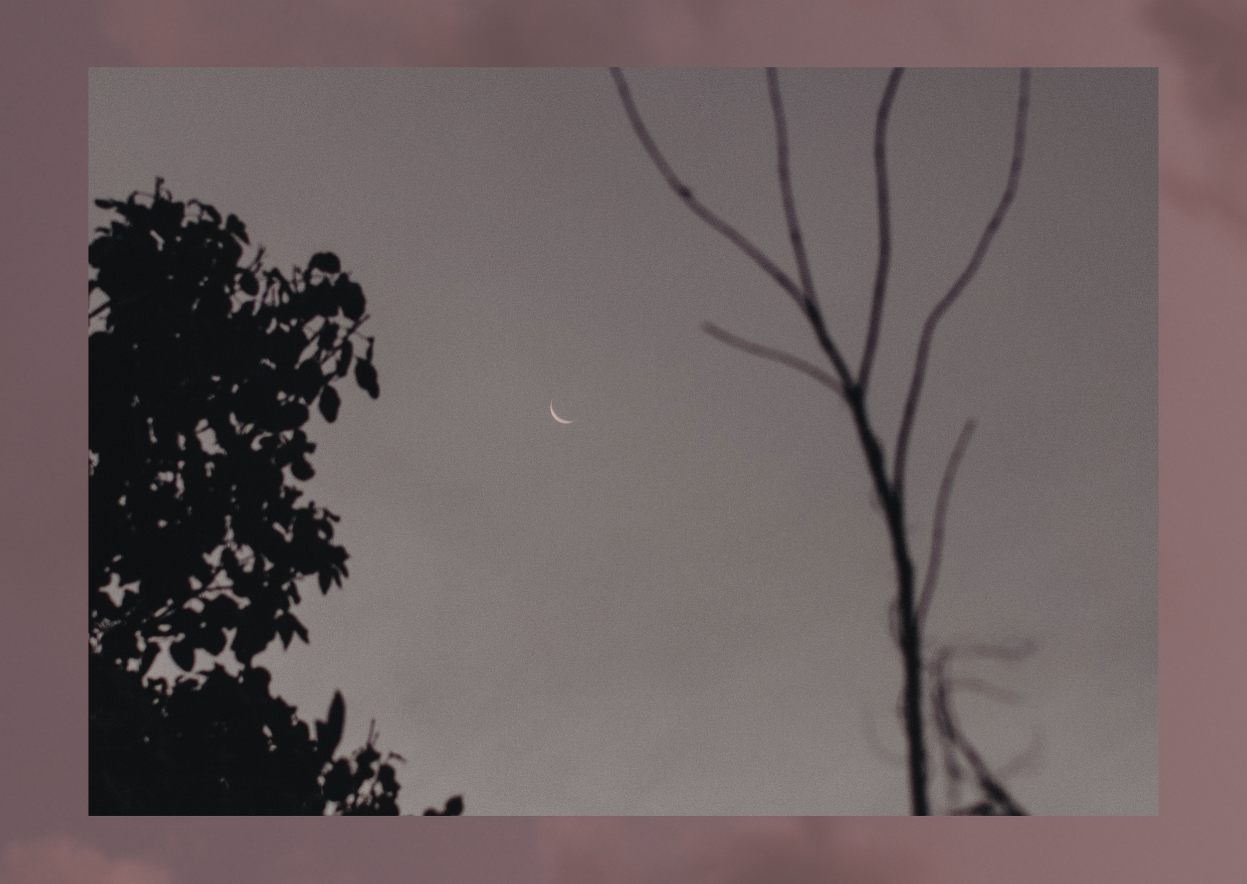 1. Main Image Moon by Heart.png