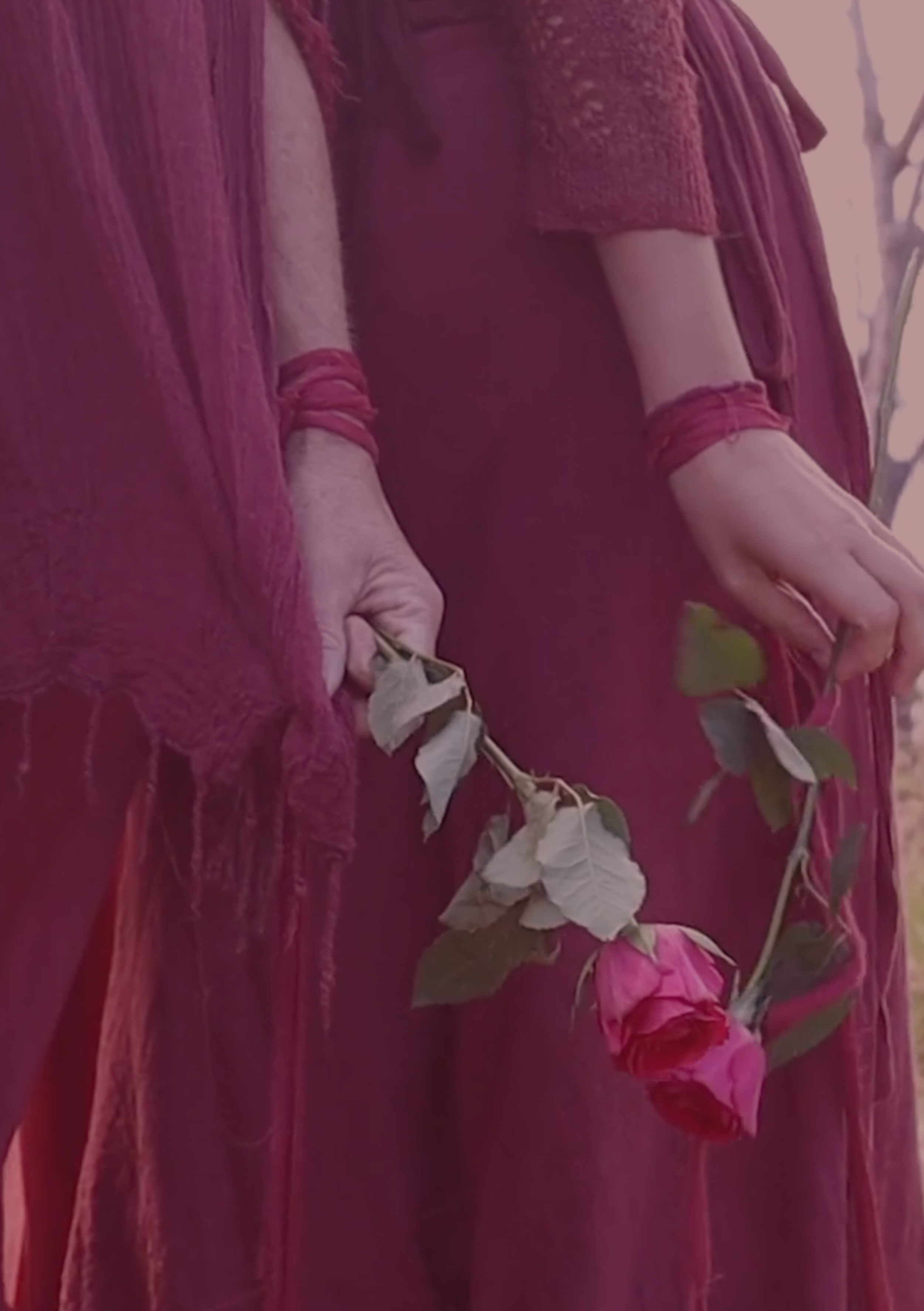 2. roses image.png