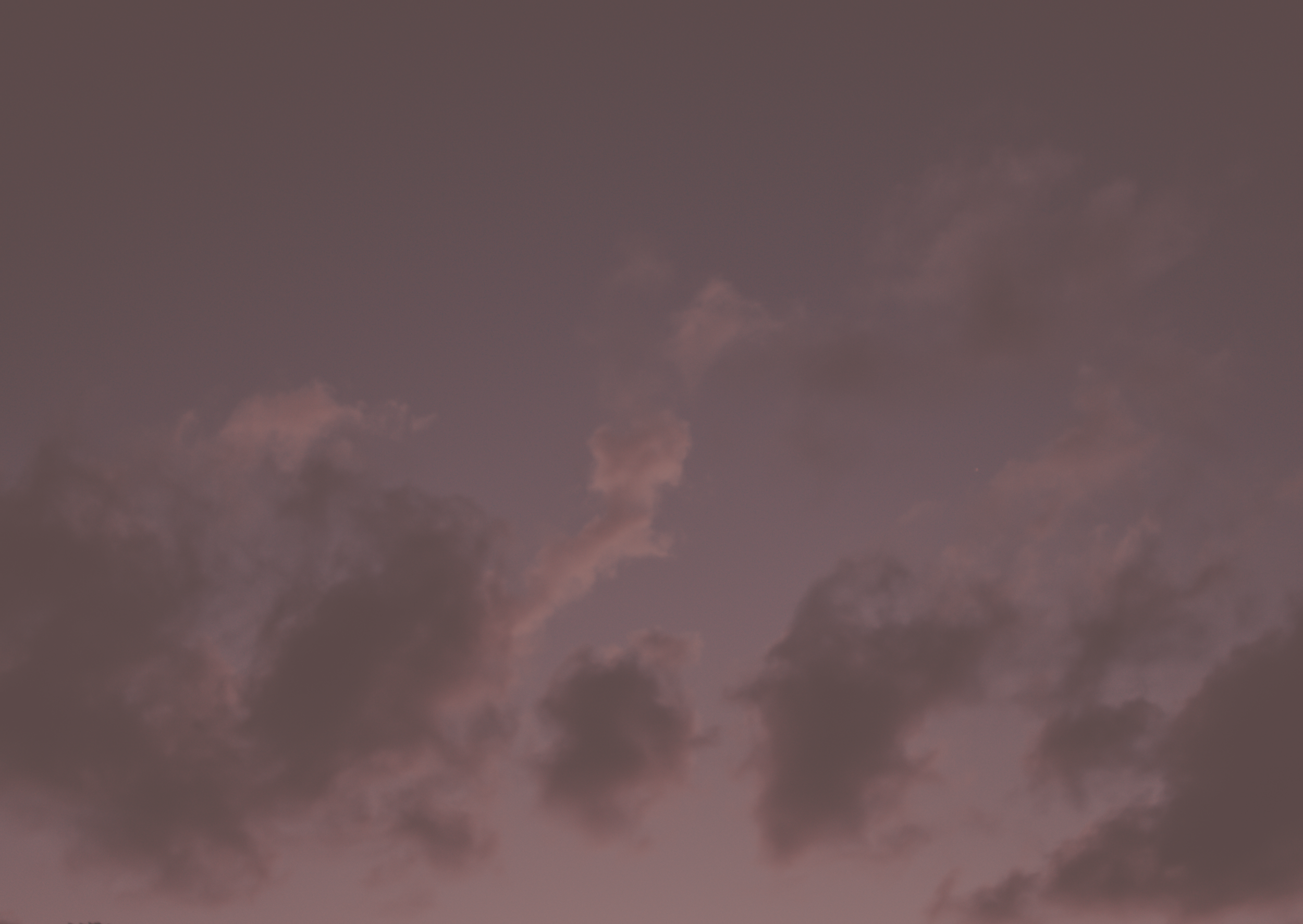 Starter Packs Banner Graphic - COLOUR (3).png