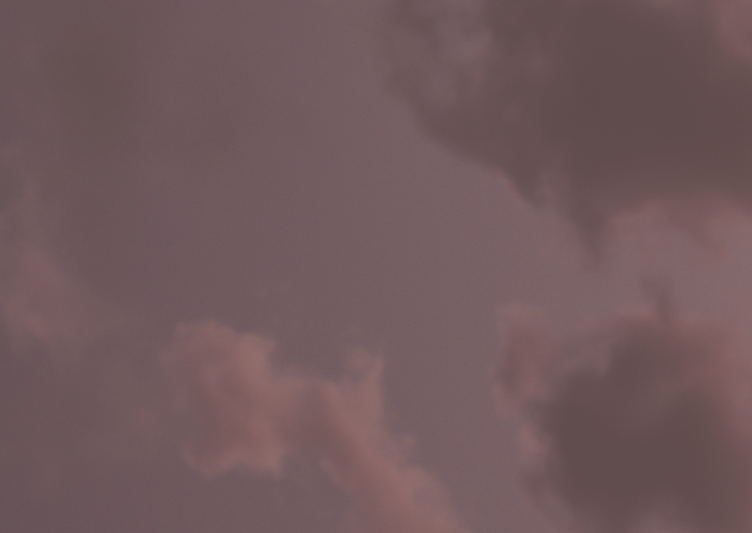 Starter Packs Banner Graphic - COLOUR (12).png