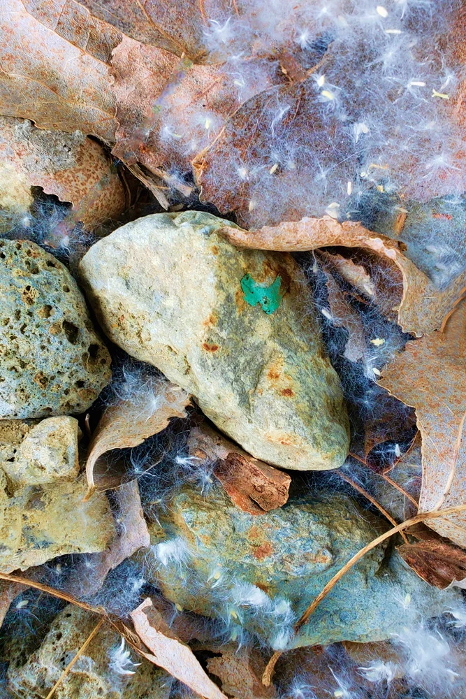 Seeds And Stone 002 001.jpg