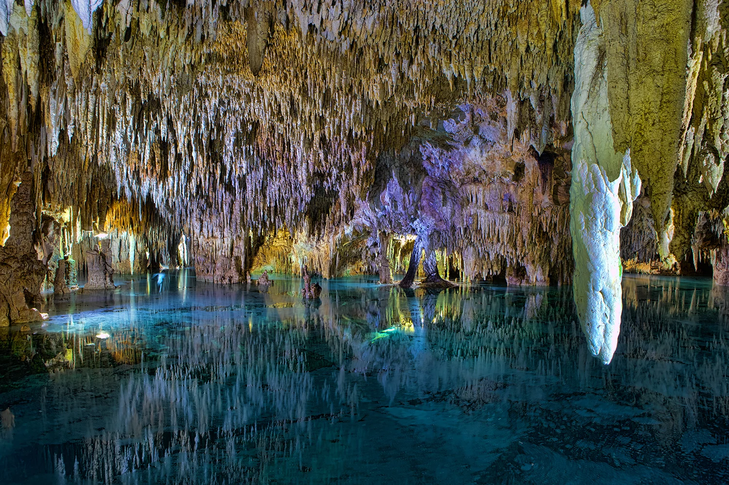 Aktun Chen | Yucatan Peninsula, Mexico 