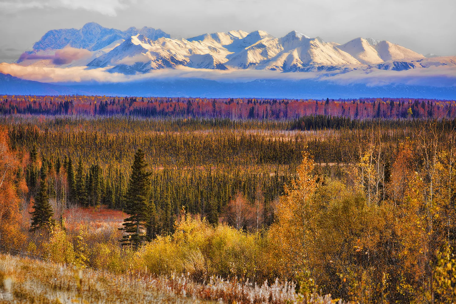 Alaskan Range in Autumn | Alaska