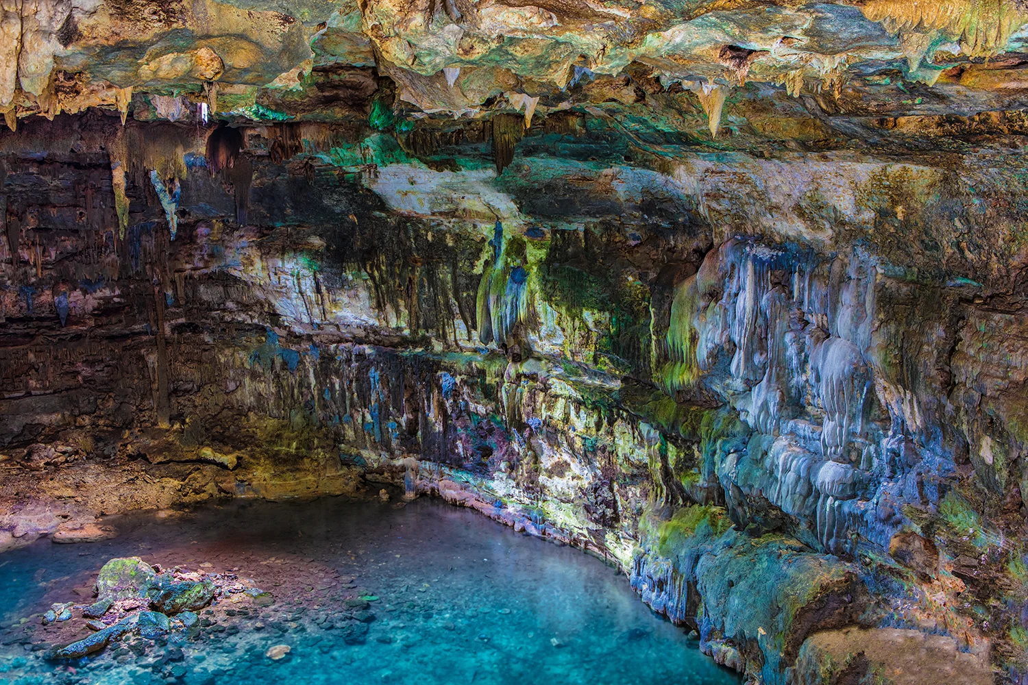 Aktun Chen | Yucatan Peninsula, Mexico 
