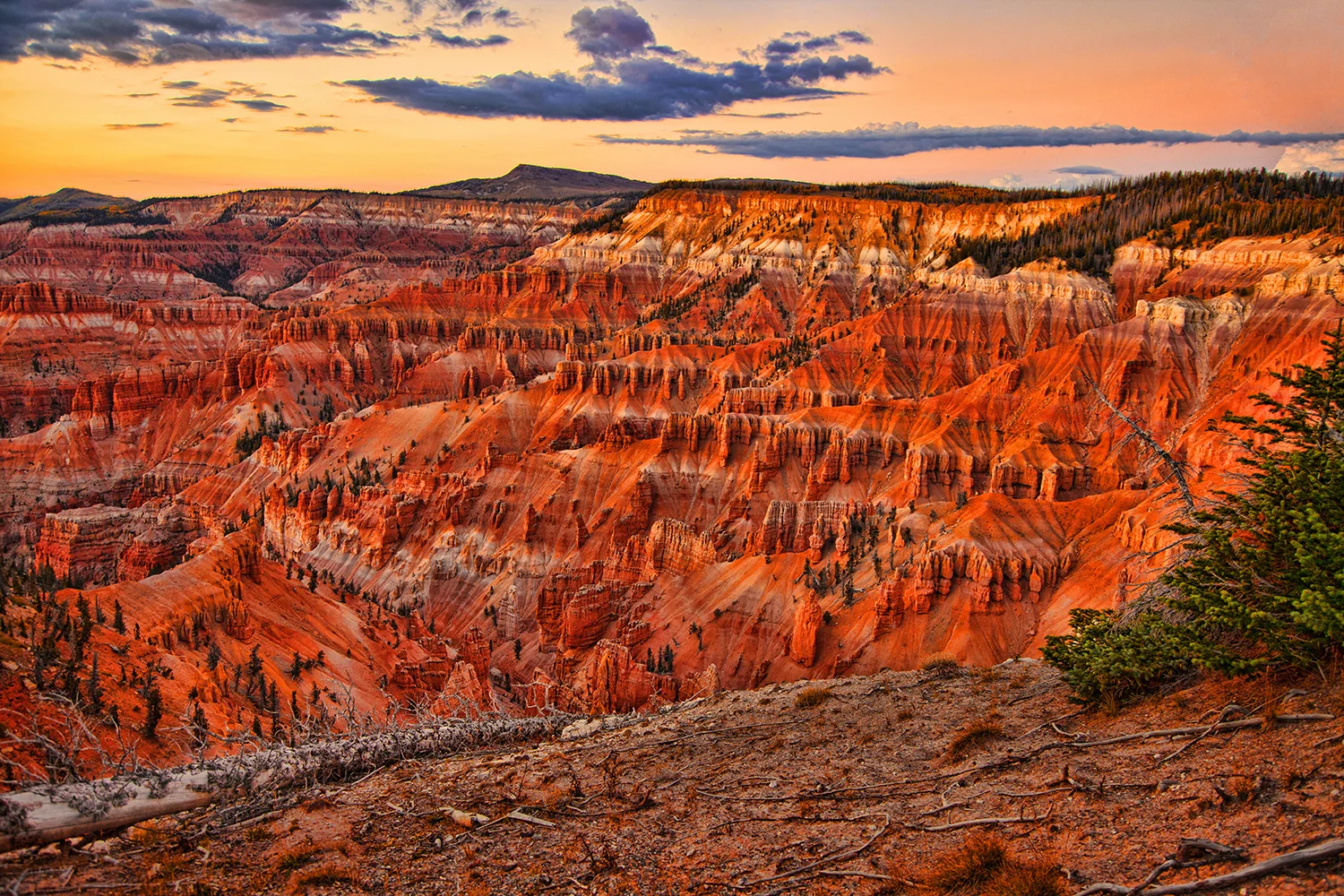 Cedar Breaks National Monument | Utah