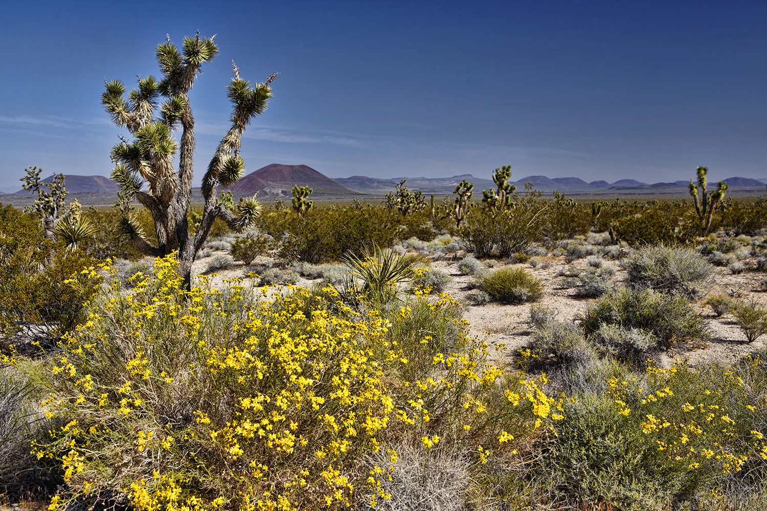 Death Valley National Park | California