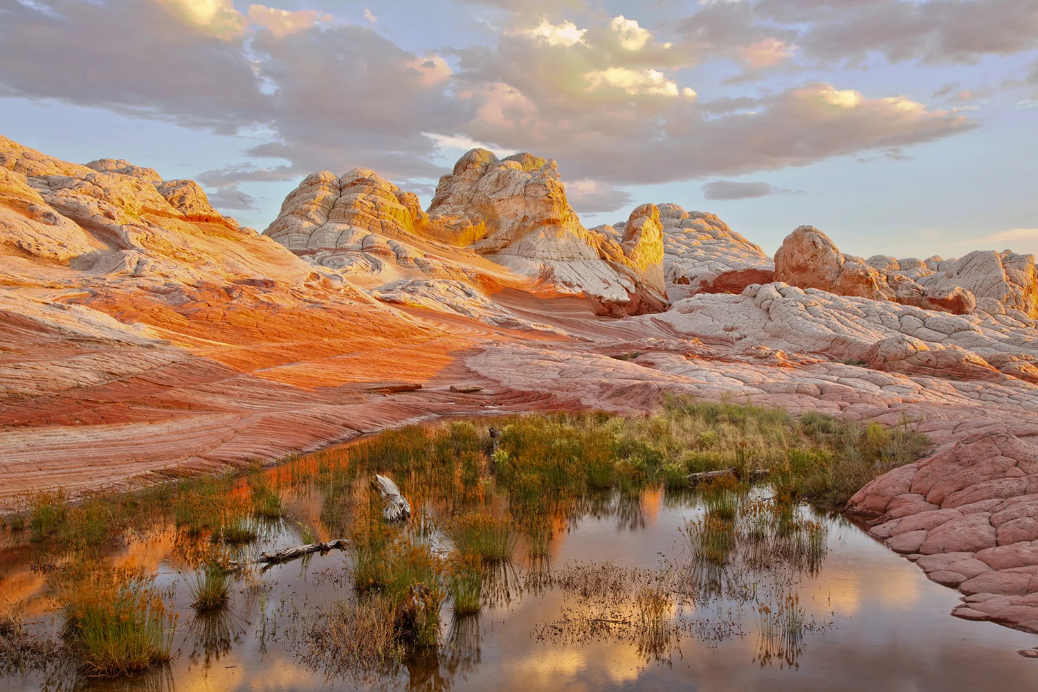 White Pocket | Vermillion Cliffs National Monument, Arizona