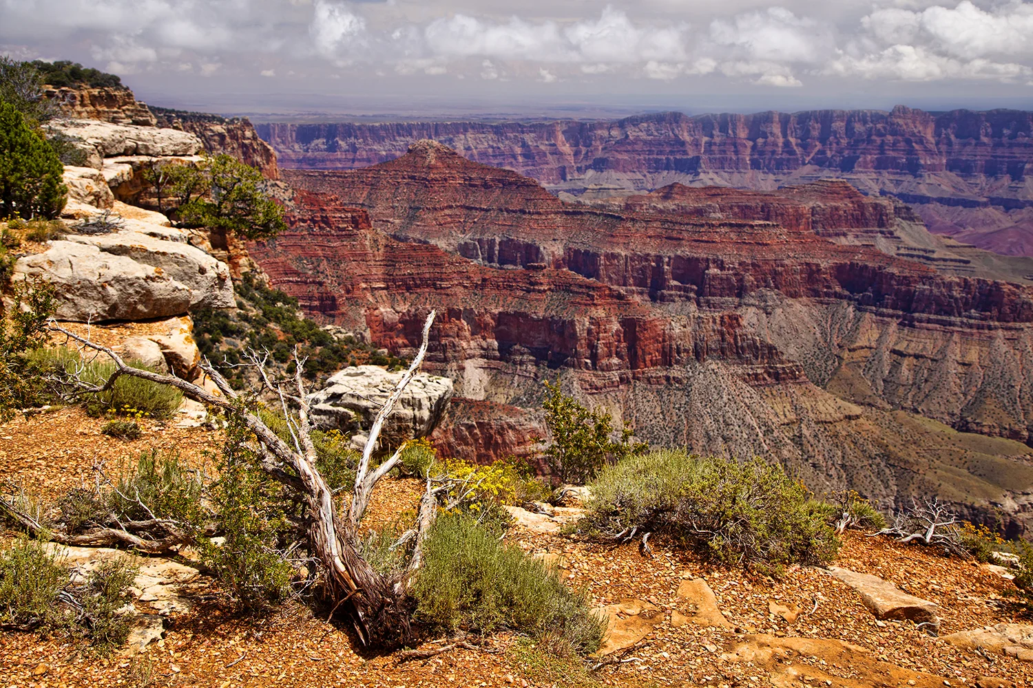 Grand Canyon National Park | Arizona