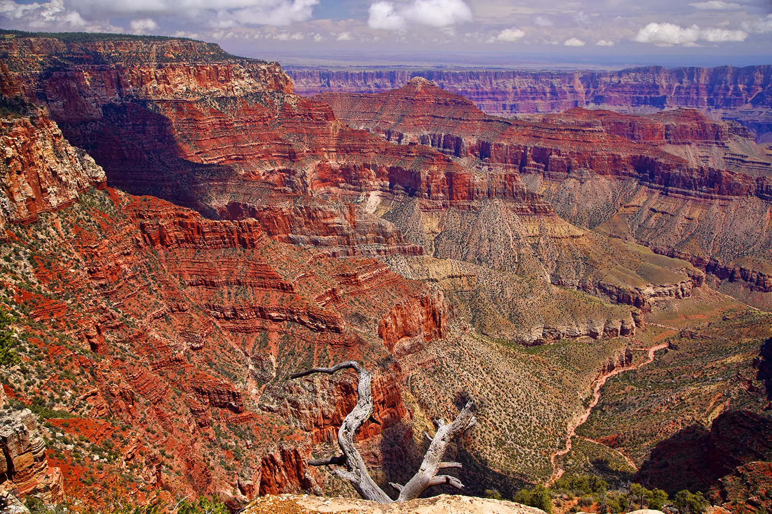 Grand Canyon National Park | Arizona