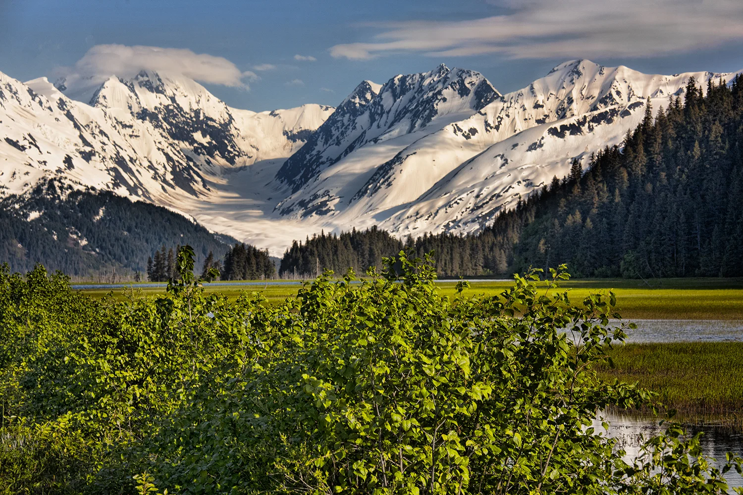 Alaskan Range | Alaska