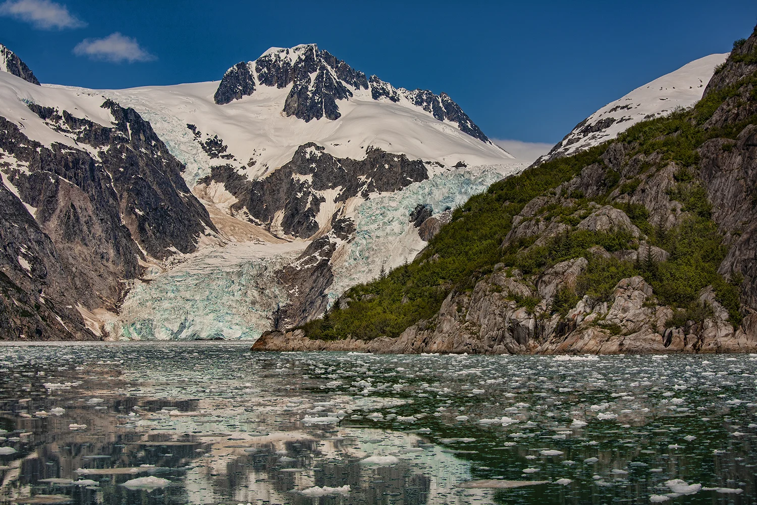 Glaciar Bay National Park | Alaska
