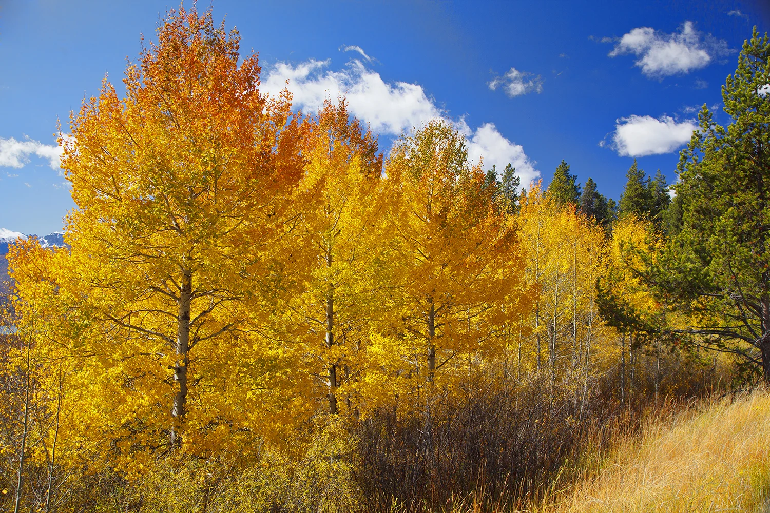 Grand Tetons National Park | Wyoming