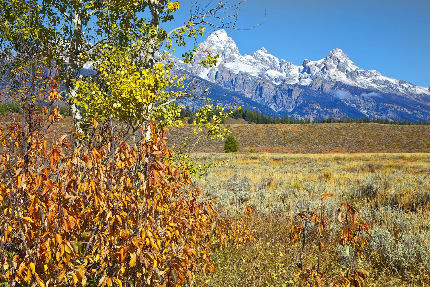 Grand Tetons National Park | Wyoming