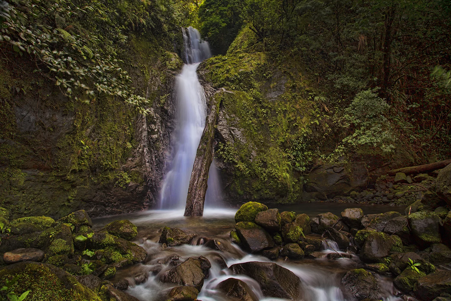 Waterfall | Costa Rica 