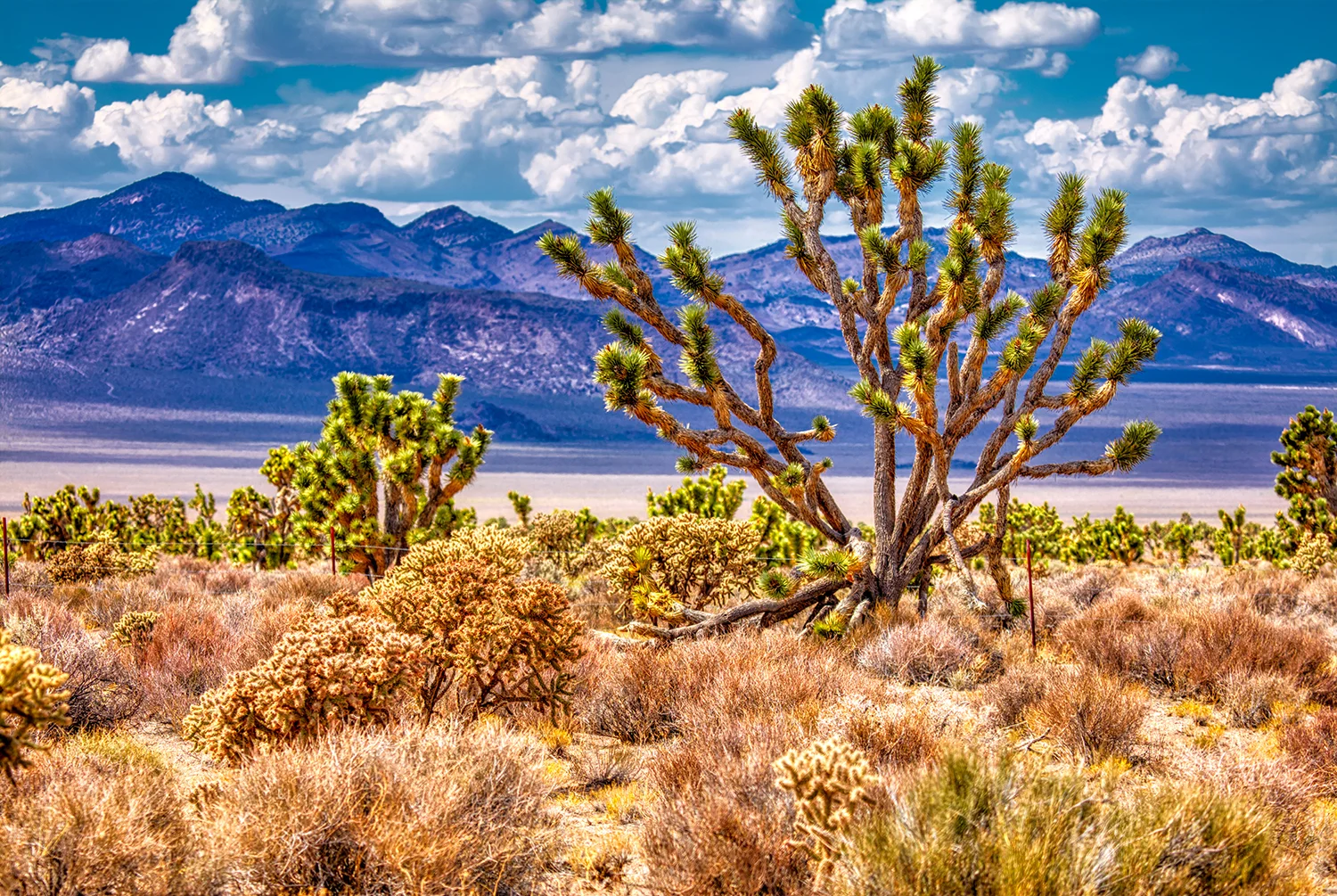 Mountainscape at Cathedral Gorge | Nevada