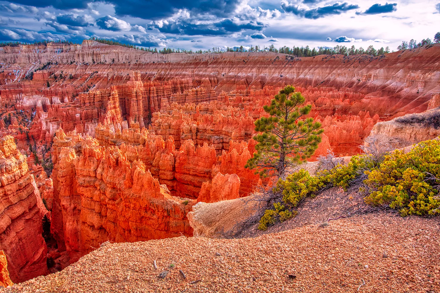 Bryce Canyon National Park | Utah