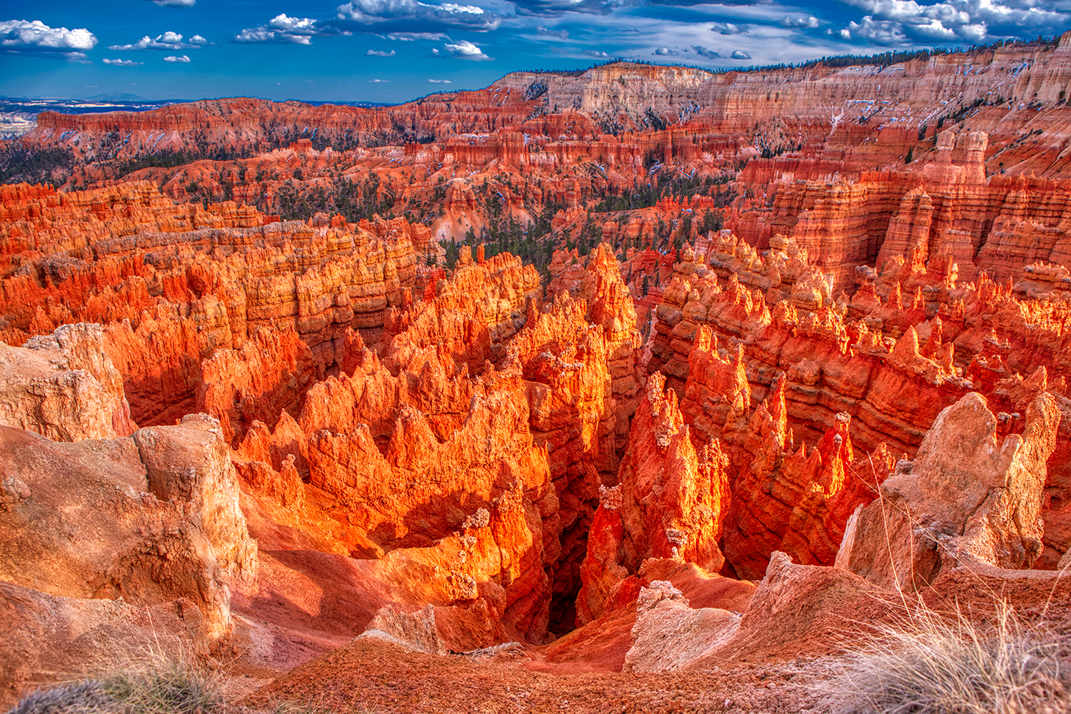 Bryce Canyon National Park | Utah
