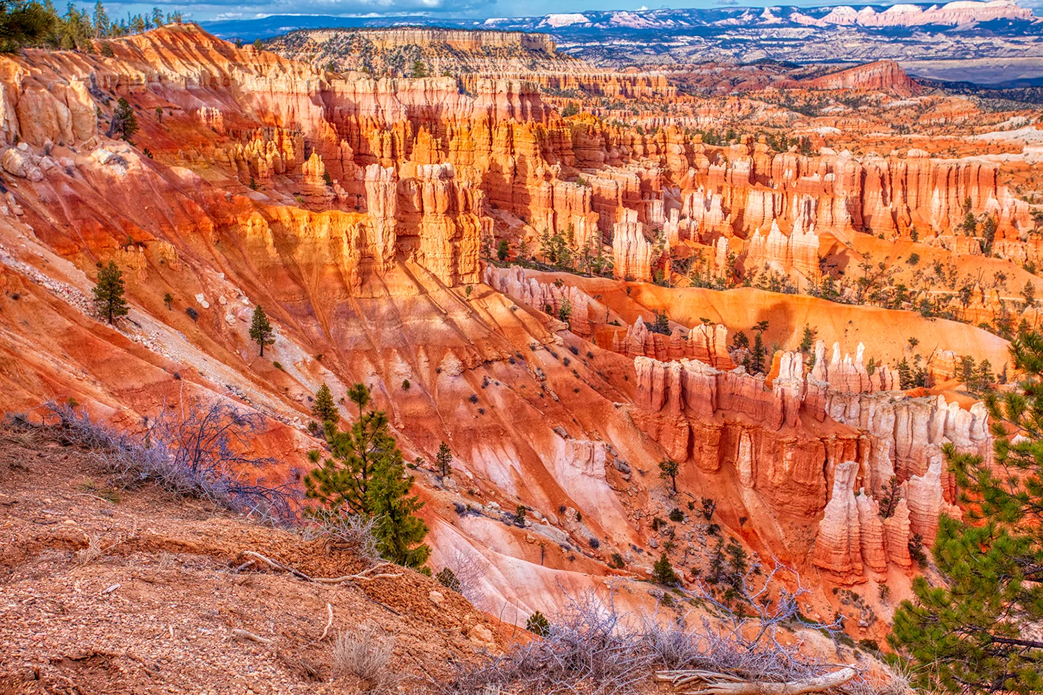 Bryce Canyon National Park | Utah