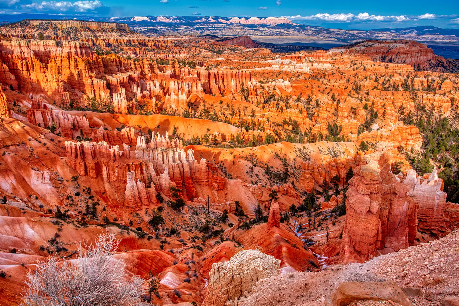 Bryce Canyon National Park | Utah