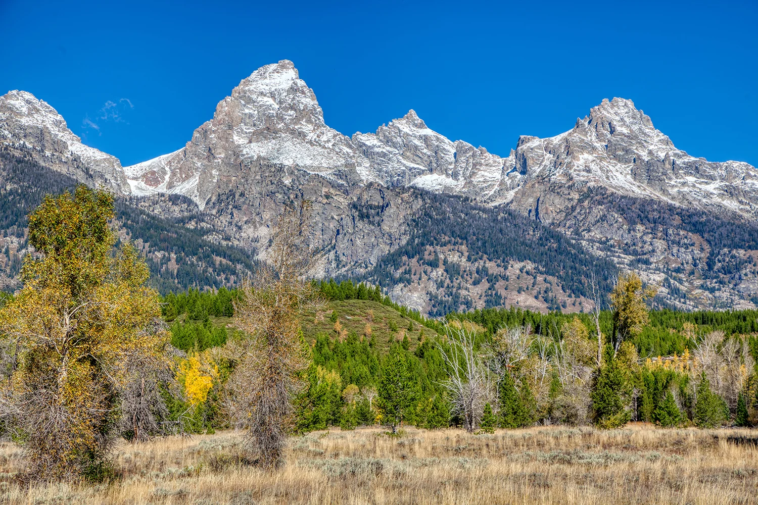 Grand Tetons National Park | Wyoming 