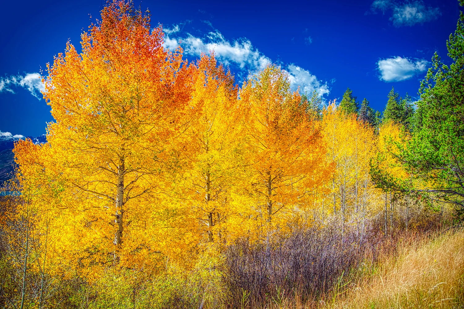Grand Tetons National Park | Wyoming