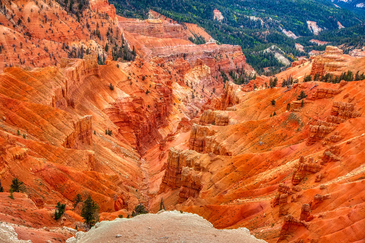 Cedar Breaks National Monument | Utah